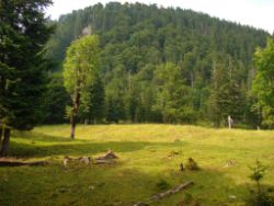 2013-07-20_Regina-F-Rau_Kochel-Rabenkopf (353).JPG